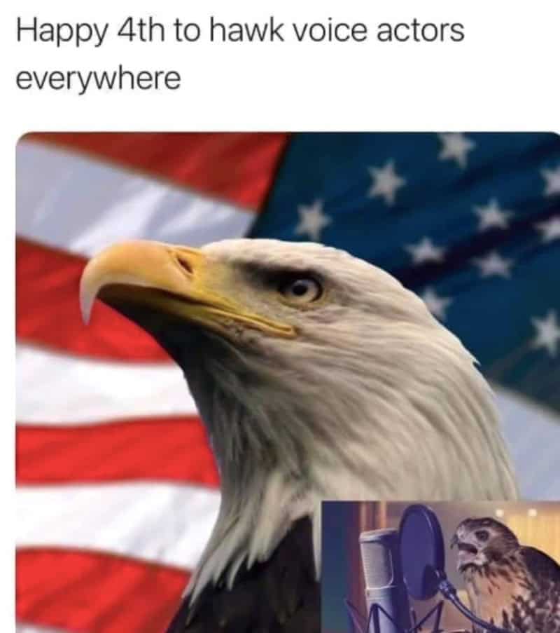 Happy 4th to hawk voice actors everywhere with American flag background.