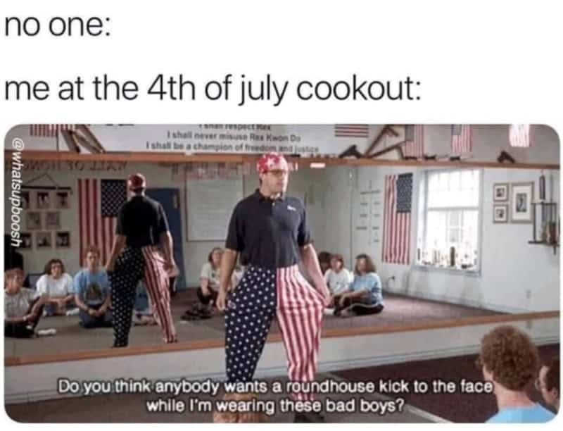 Me at the 4th of July cookout: Do you think anybody wants a roundhouse kick to the face.