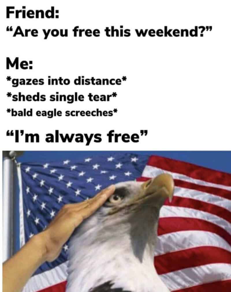 'Are you free this weekend?' Me: *gazes into distance* *sheds single tear* *bald eagle scree.