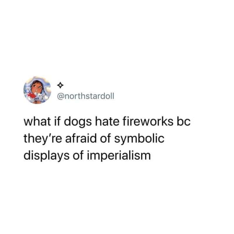 What if dogs hate fireworks bc they're afraid of symbolic displays of imperialism.
