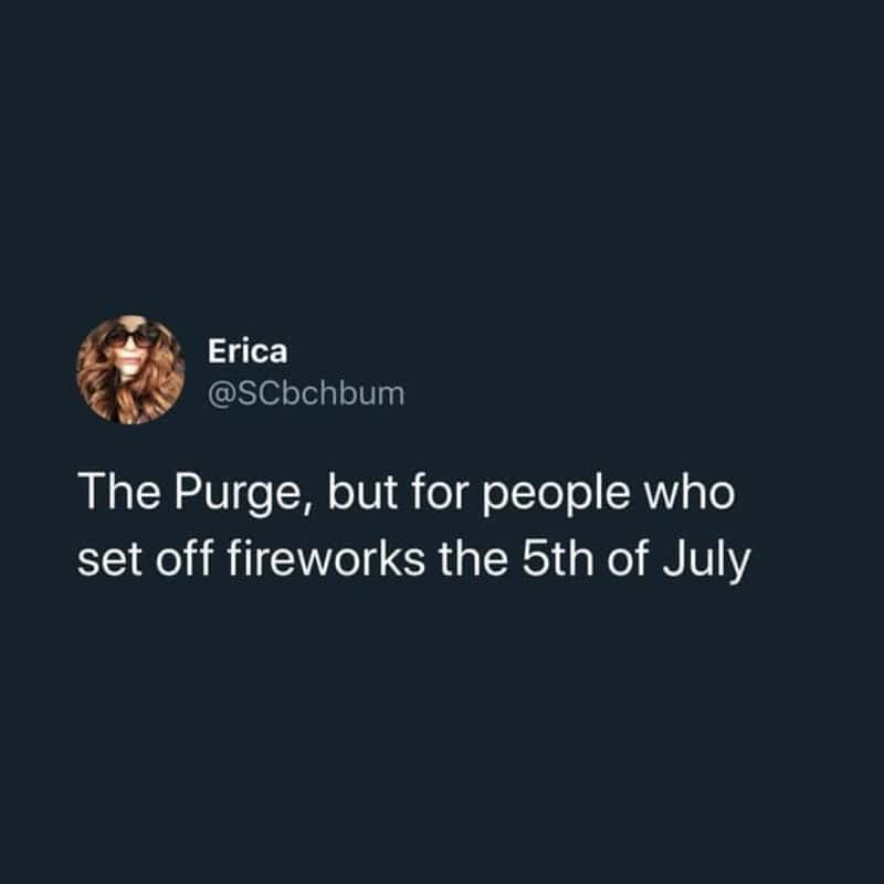The Purge, but for people who set off fireworks the 5th of July.