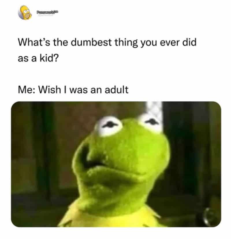 Kermit the Frog meme with text about childhood regrets and adulting.