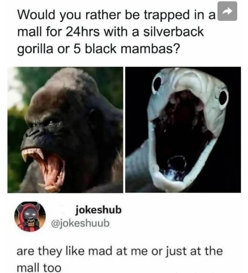 Would you rather be trapped in a mall with a gorilla or a snake?.