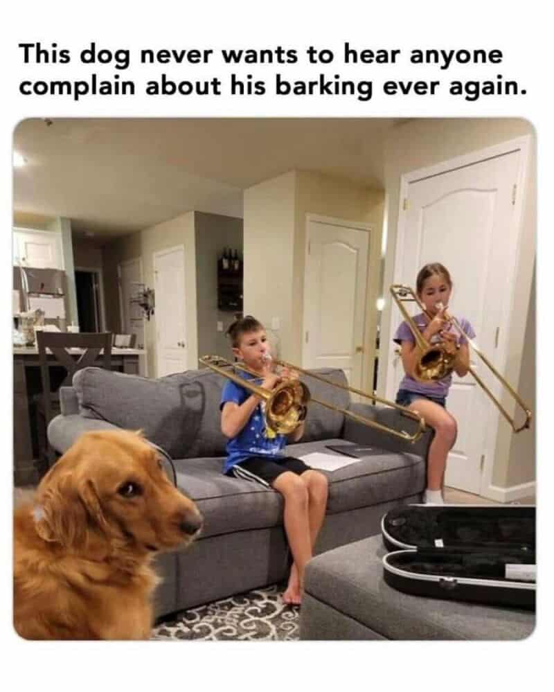 Two kids playing trombones on a couch with a dog nearby, caption about the dog not wanting to hear a.