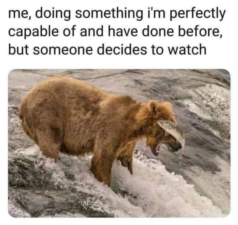 A bear with a beak standing in water, looking like it's doing something capable.