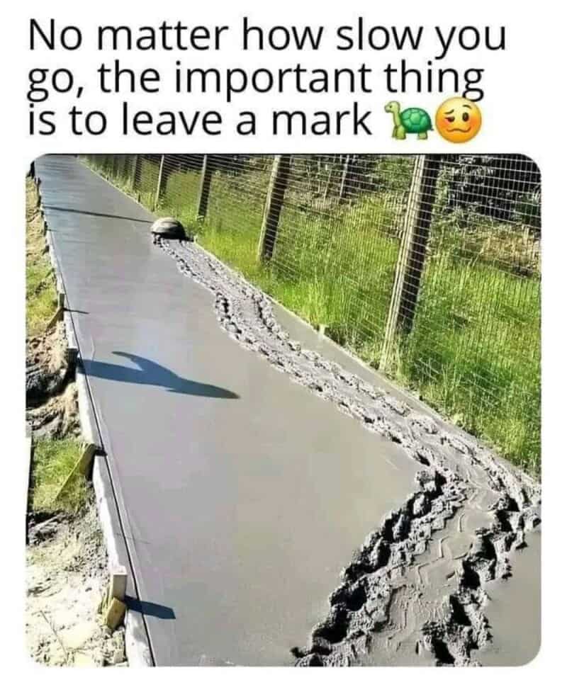 A turtle leaving a trail on wet cement with the caption about leaving a mark.