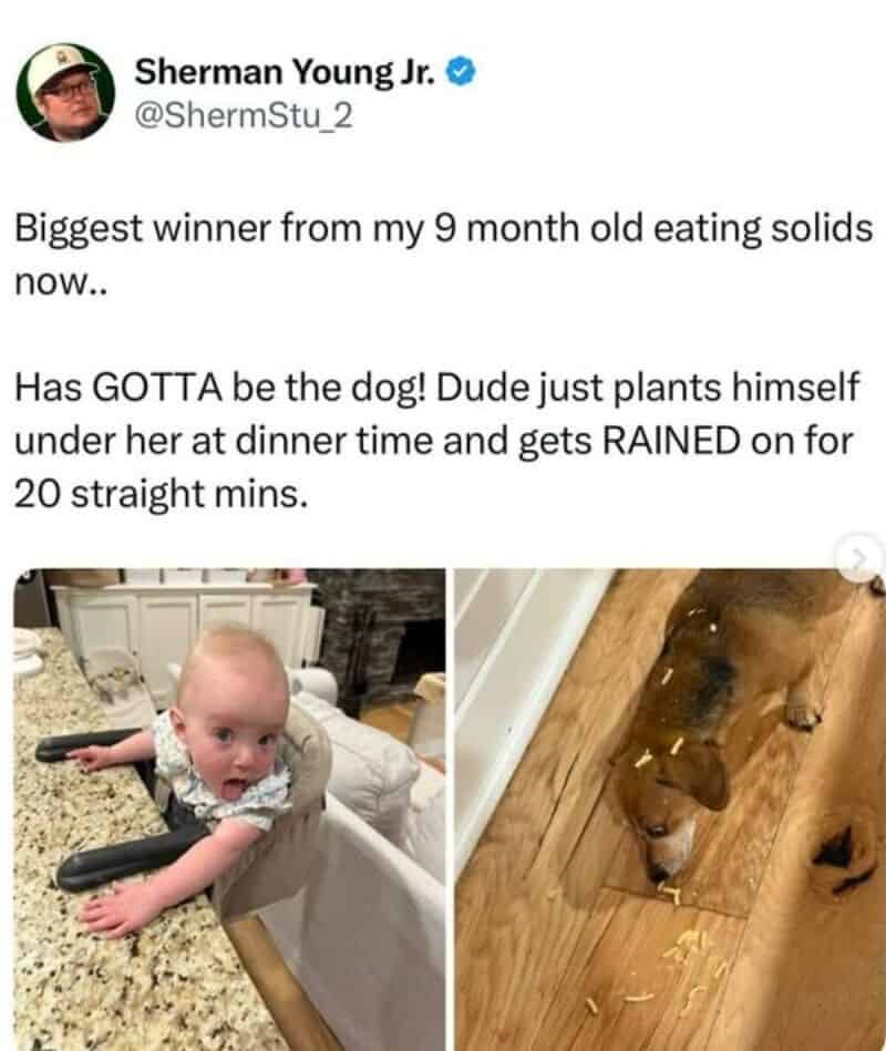 Baby with a black object on his arm and a dog eating spilled food on the floor.