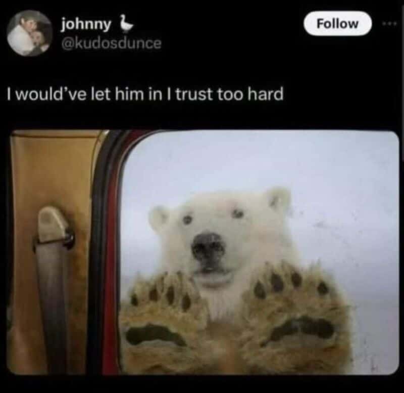 Polar bear looking through a window with paws pressed against the glass.