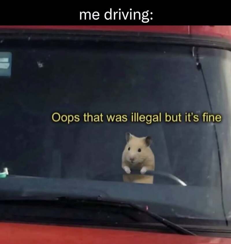 Hamster driving a car with a caption about illegal driving.