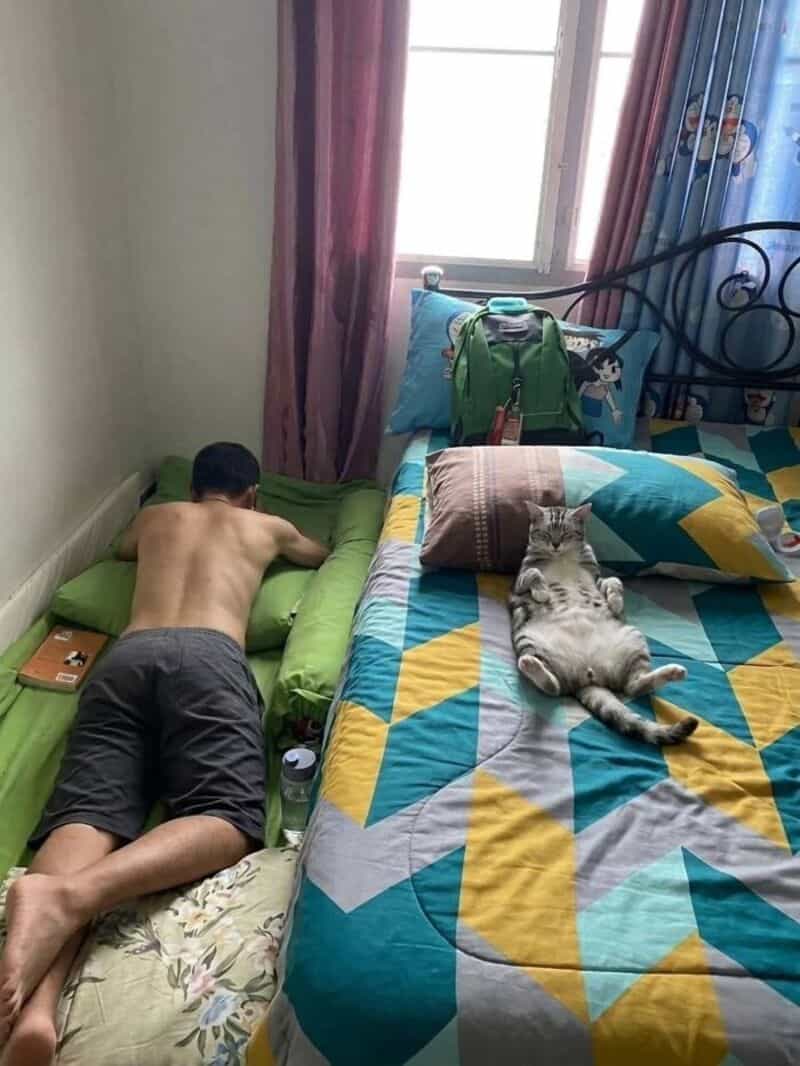 Man sleeping on green pillow next to a cat lying on its back on a bed.
