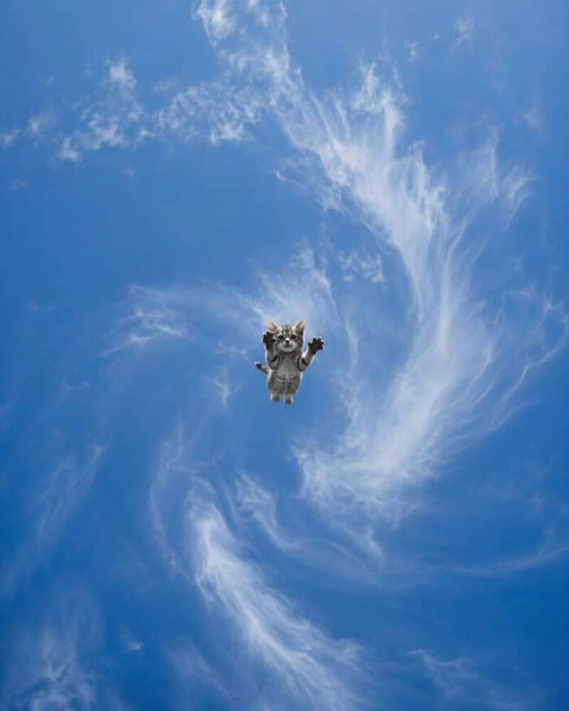 Cat falling through the sky with clouds, from catloversclub.