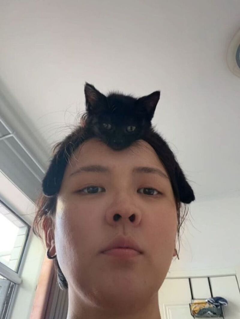 Person with a black kitten on their head, looking at the camera.