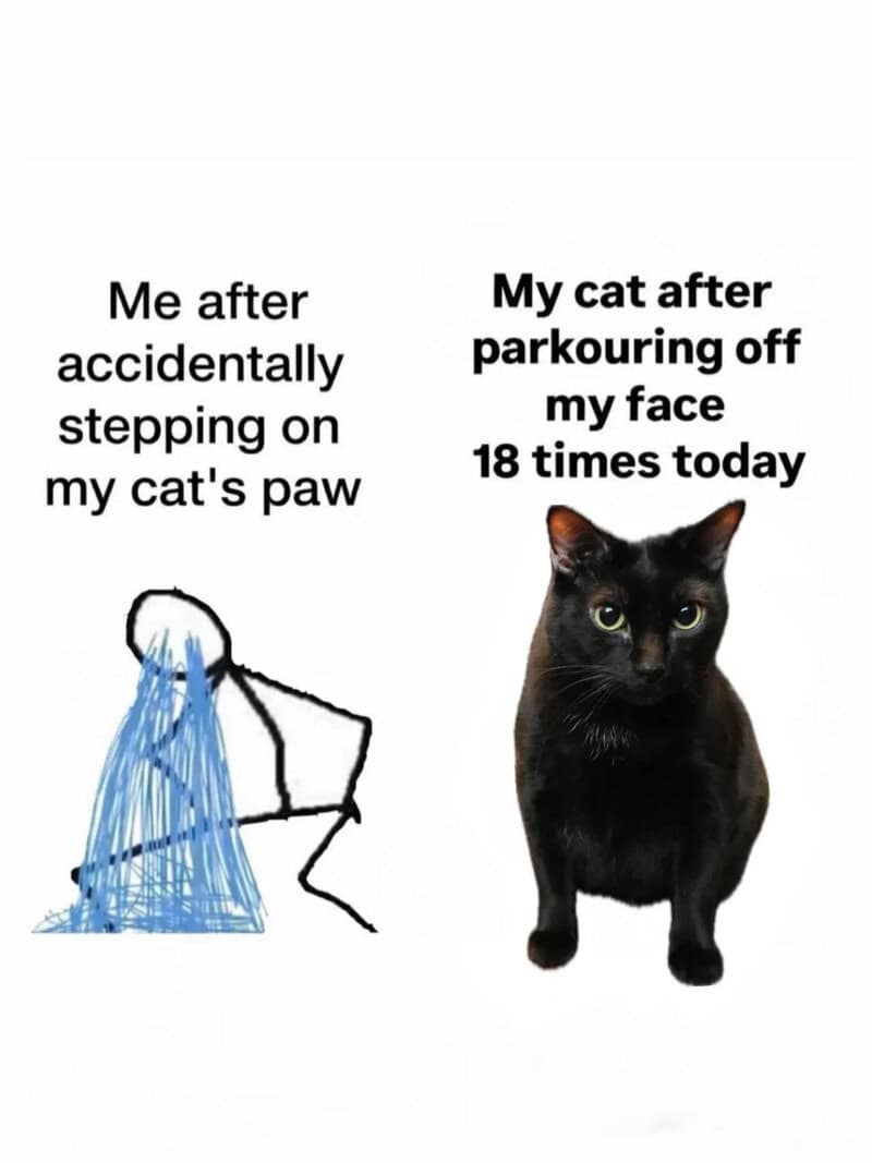 Meme about stepping on a cat's paw and the cat scratching face 18 times.