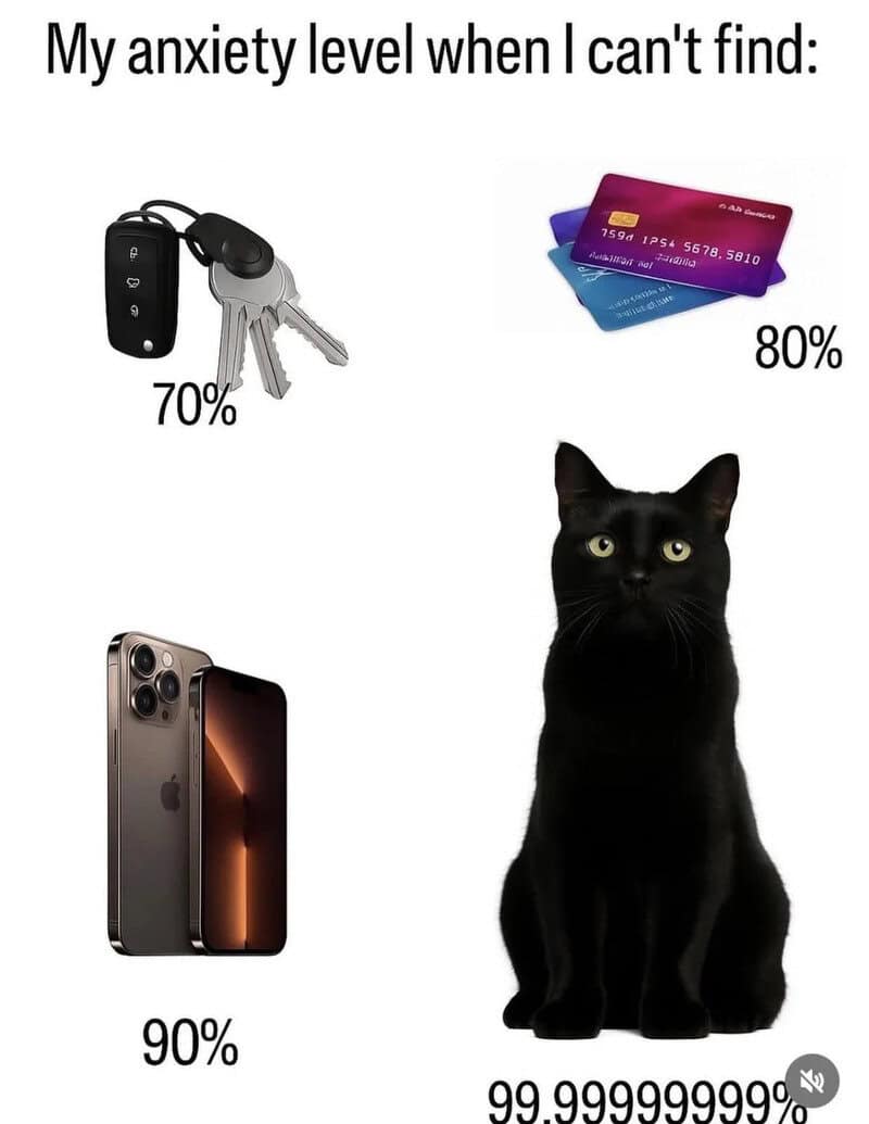 Funny meme showing anxiety levels with keys, credit cards, iPhone, and black cat.