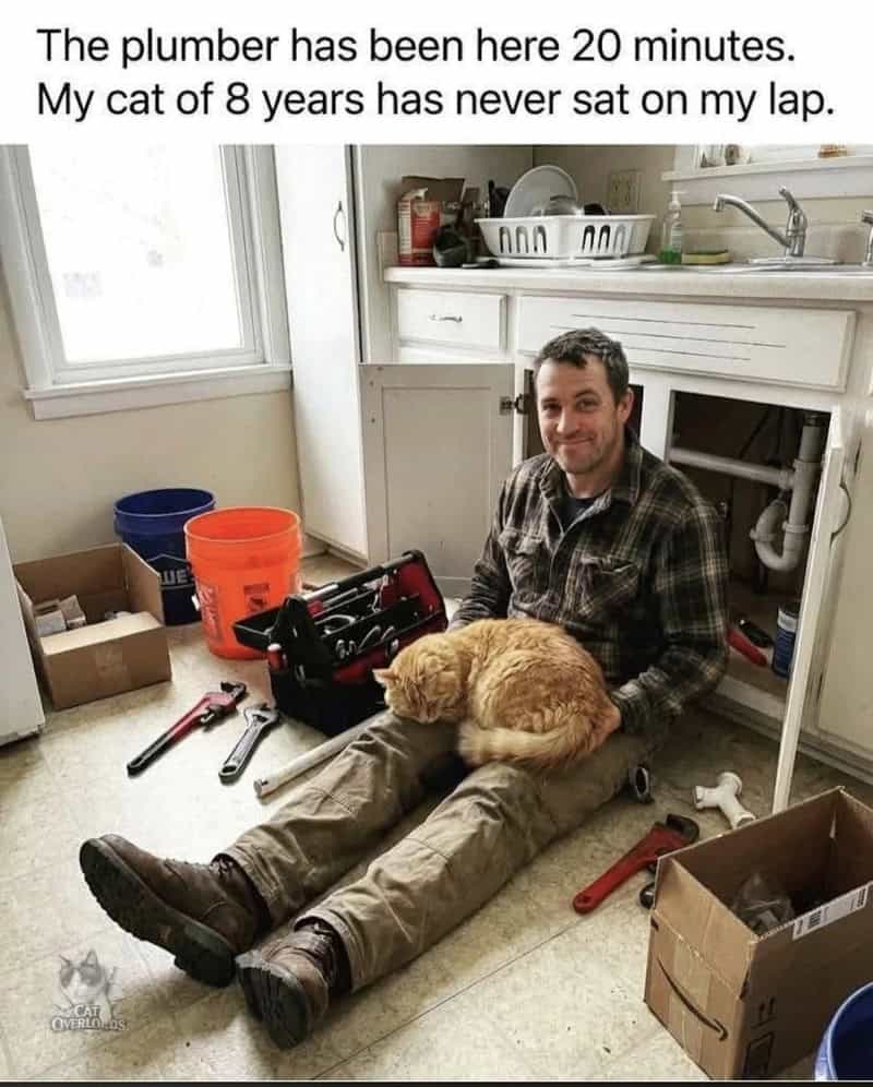 Man sitting on the floor with a cat on his lap, kitchen background, tools around.