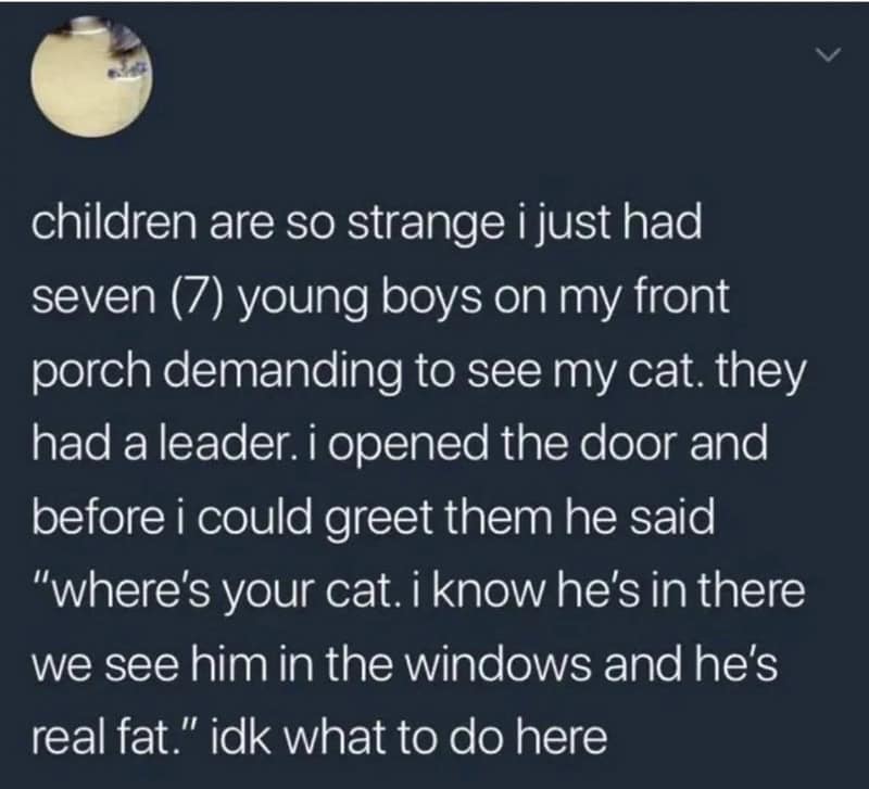 Children demand to see the cat on the porch, but the cat is hiding inside.