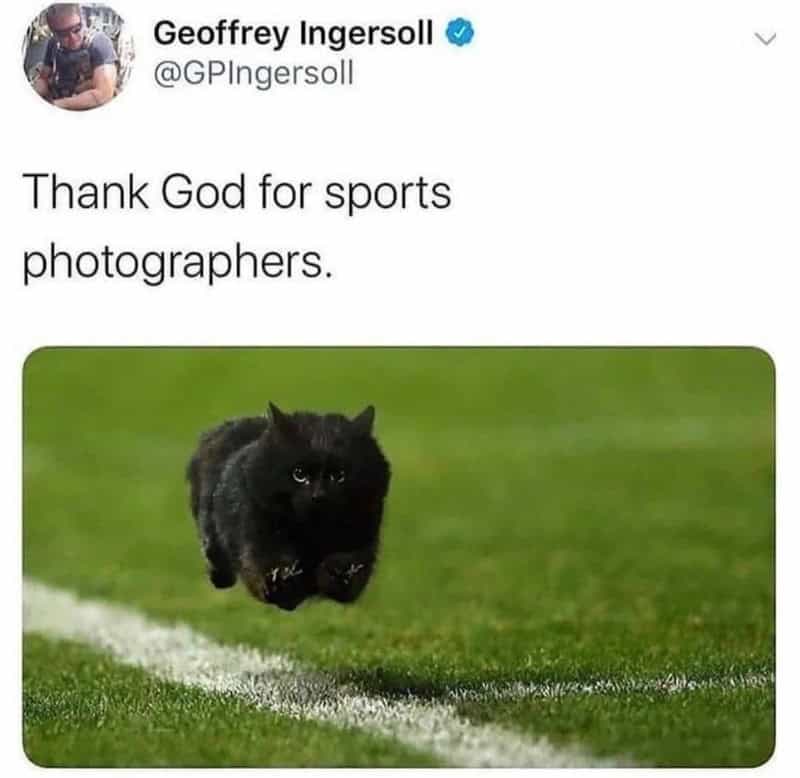 Black cat with glowing eyes running on grass, with tweet text about sports photographers.