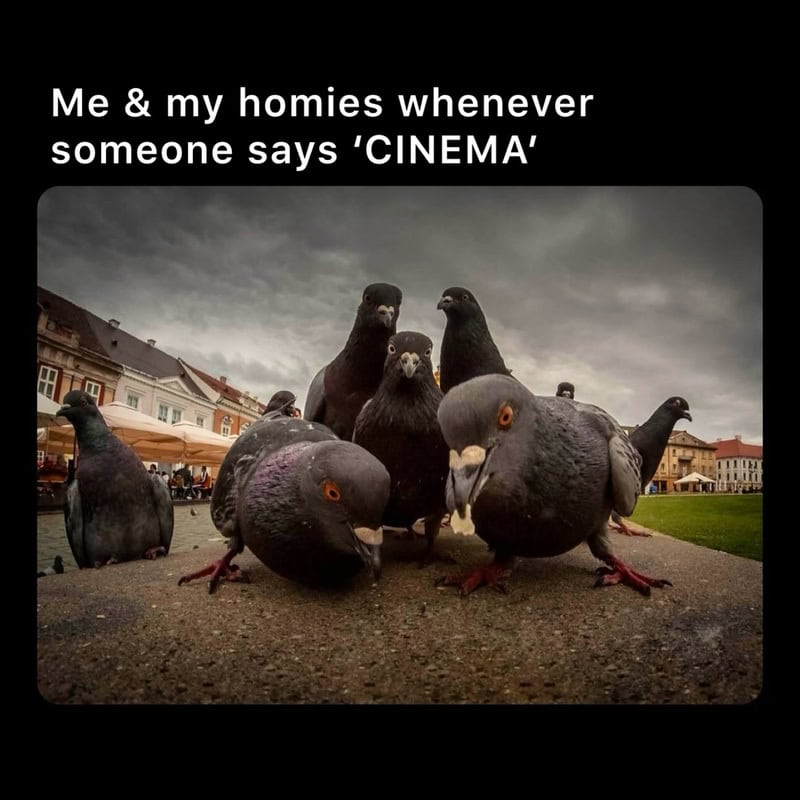 Humans and pigeons with a caption about cinema in a meme style.