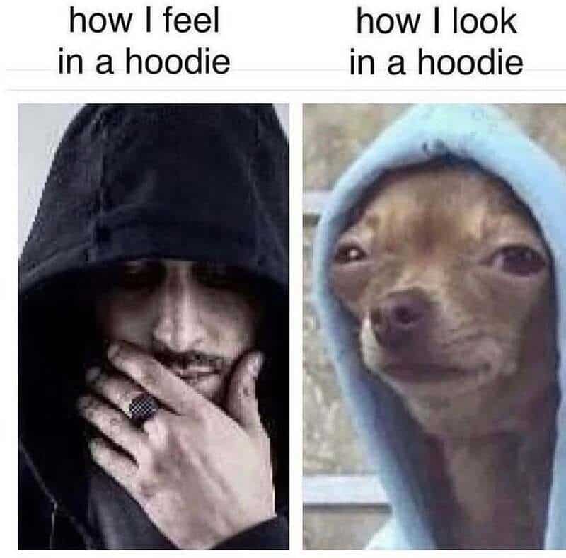 Comparison of how I feel and look in a hoodie with a person and a dog.