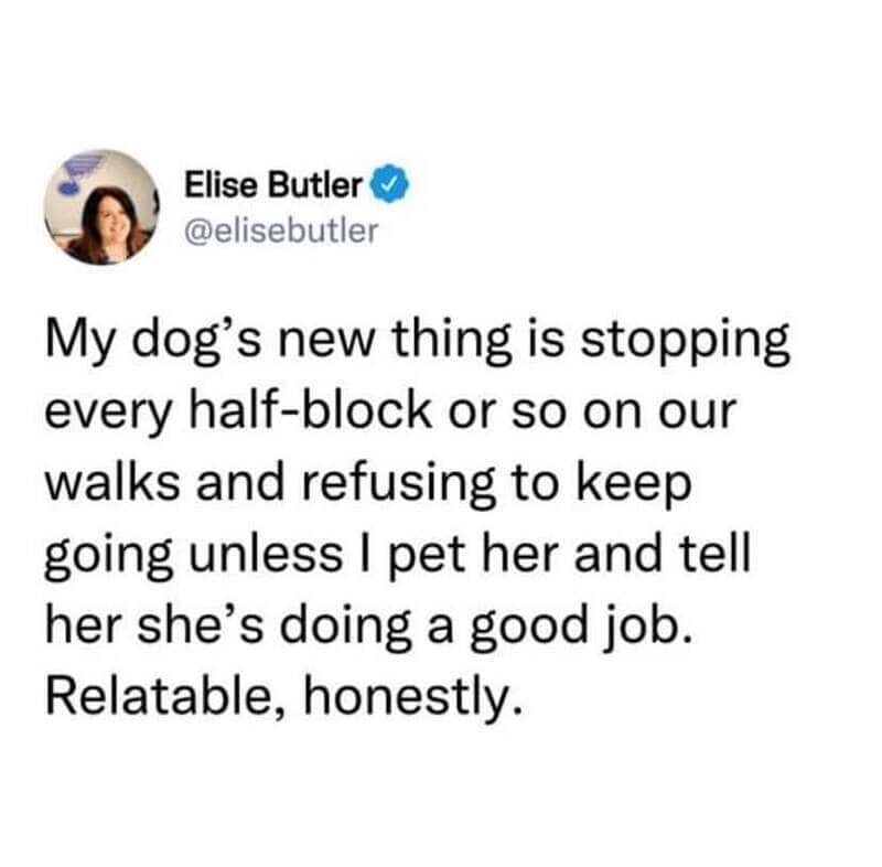 Elise Butler's tweet about her dog stopping at half-blocks on walks.