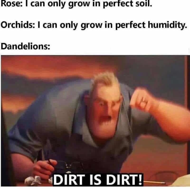 Dirt is dirt! meme from the movie The Incredibles with a man yelling.