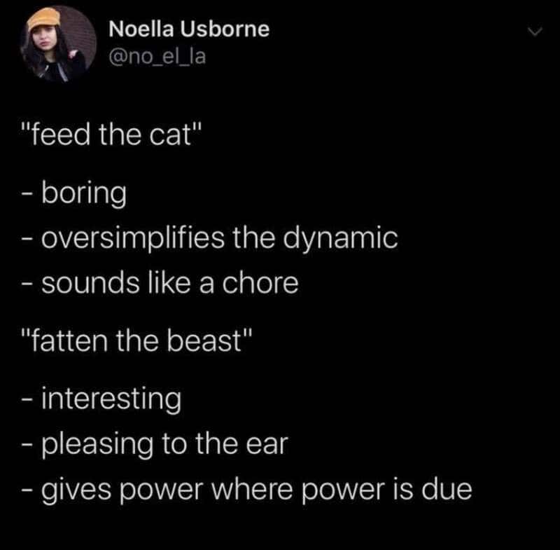 Noella Usborne's tweet compares 'feed the cat' and 'fatten the beast' with humorous descriptions.