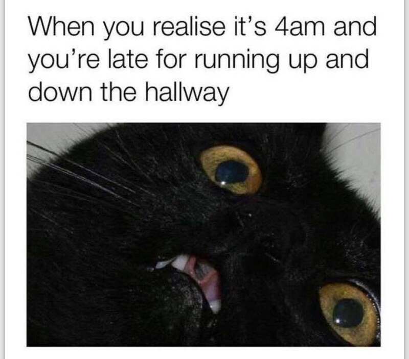 When you realize it's 4am and you're late for running up and down the hallway.