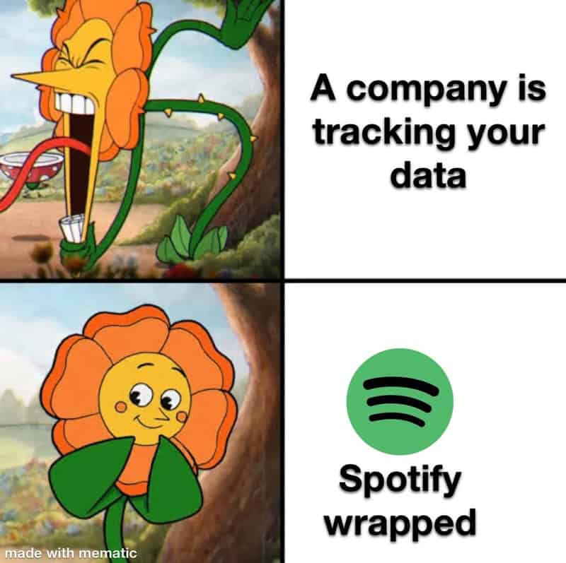 Cartoon flower character with a sad face and a company tracking data, Spotify wrapped.