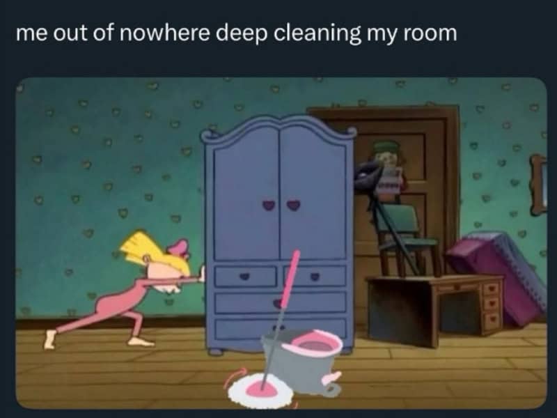 Pink cat pushes a mop and bucket out of a closet in a room.