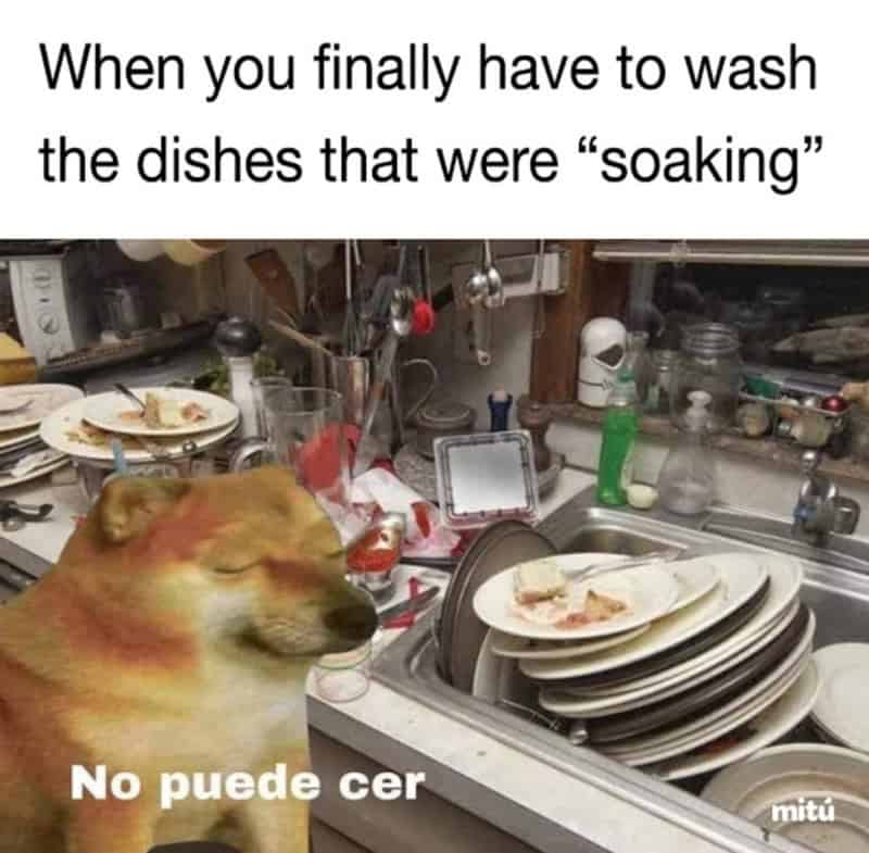 Dog with a tired expression near a sink full of dirty dishes, captioned 'No puede cer'.