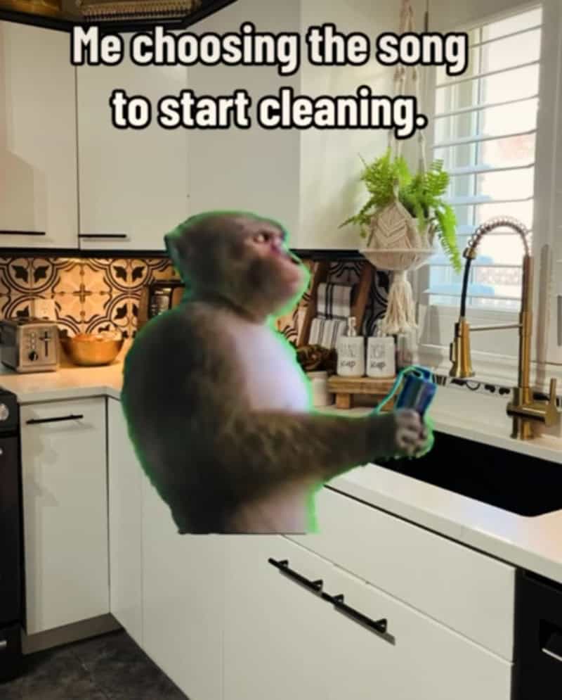 Monkey holding a phone in a kitchen with the caption 'Me choosing the song to start cleaning.'.