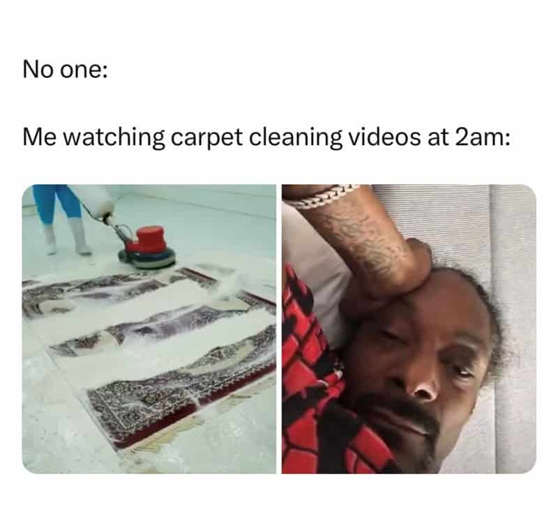 Me watching carpet cleaning videos at 2am:.