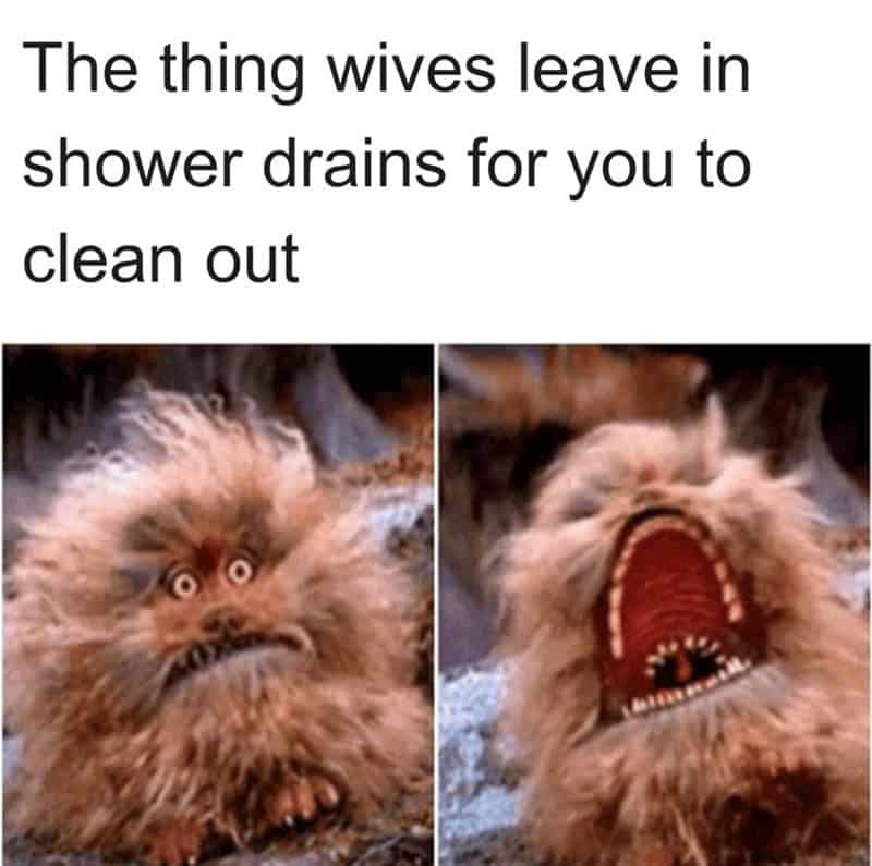 The thing wives leave in shower drains for you to clean out.