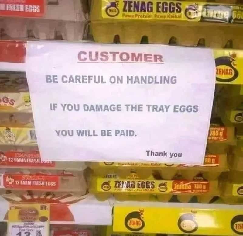 Warning sign about handling tray eggs in a store, with eggs on shelves behind.
