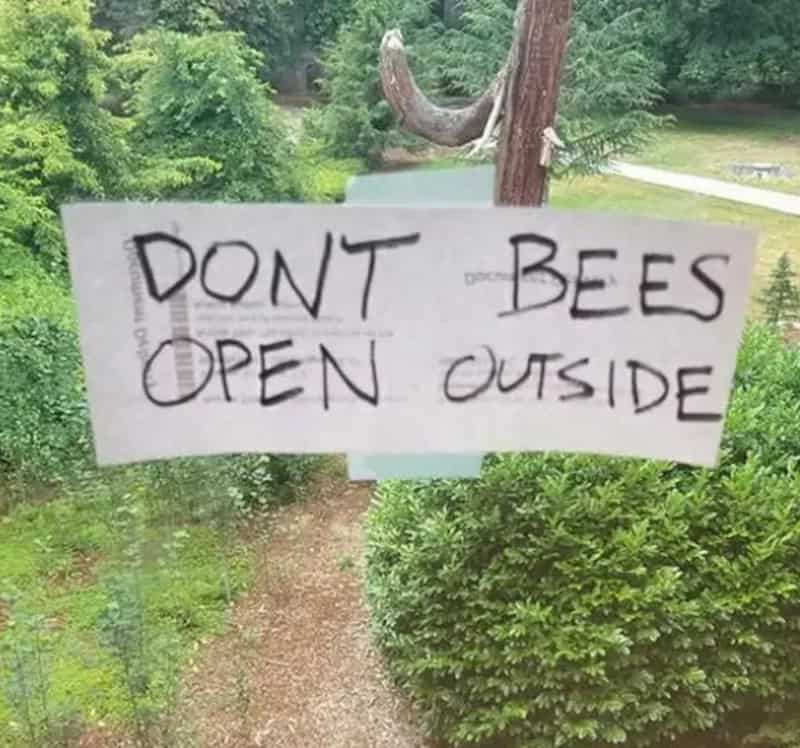 Sign says 'DONT BEES OPEN OUTSIDE' in a wooded area.