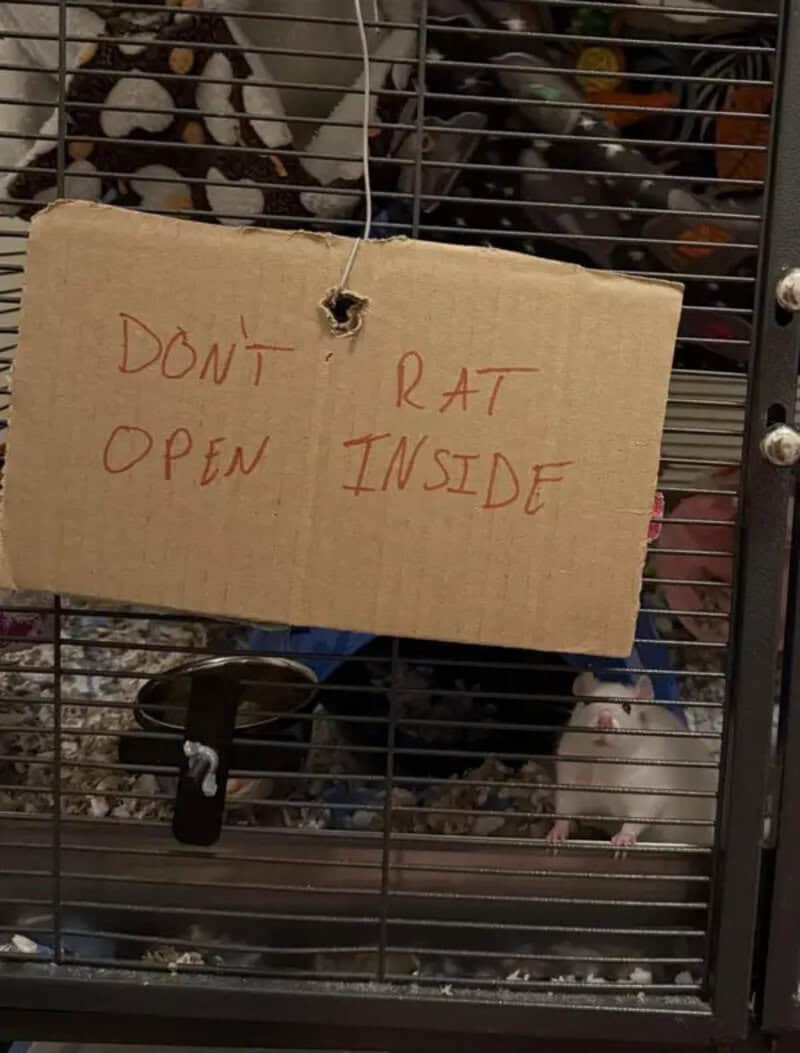 Sign on cage says 'DON'T RAT OPEN INSIDE' with a typo.