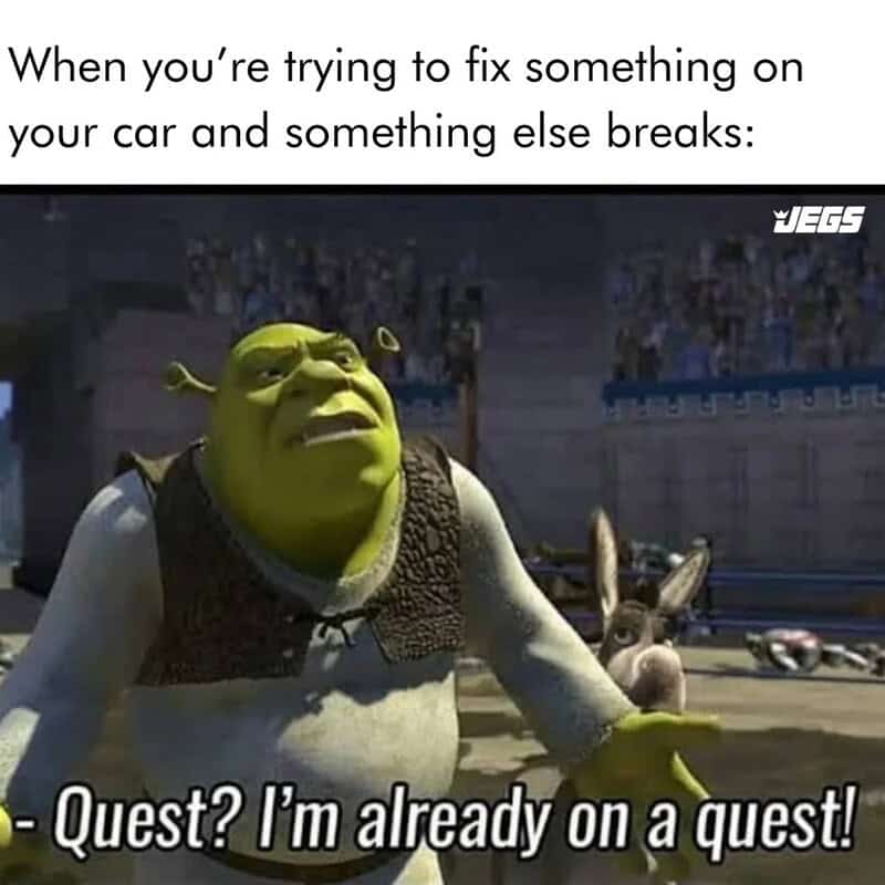 Shrek with a frustrated expression, saying 'Quest? I'm already on a quest!'.