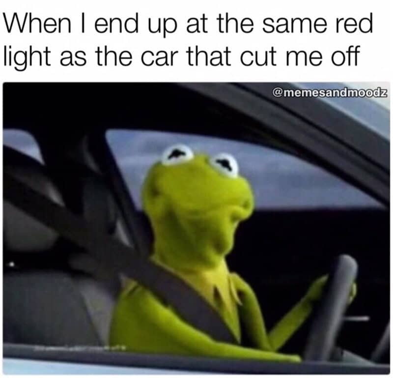 Frog puppet driving with a caption about red lights and being cut off.