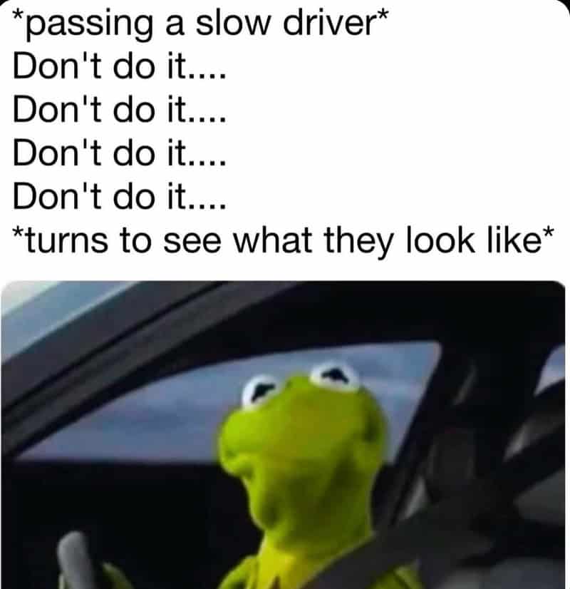 Passing a slow driver, then seeing a frog puppet looking surprised.