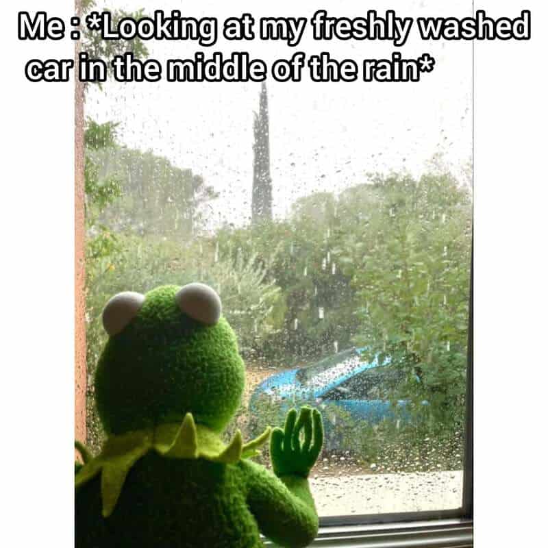 Kermit the Frog looking out at a rainy scene through a window.