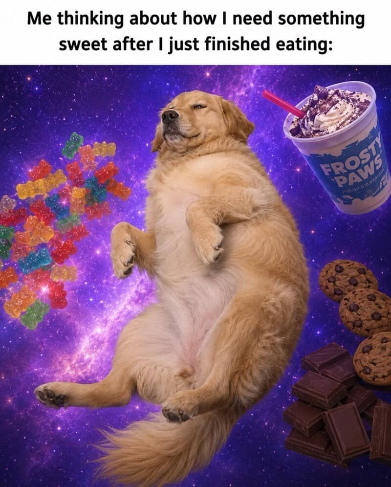 Dog floating in space with gummy bears, ice cream, cookies, and chocolate.