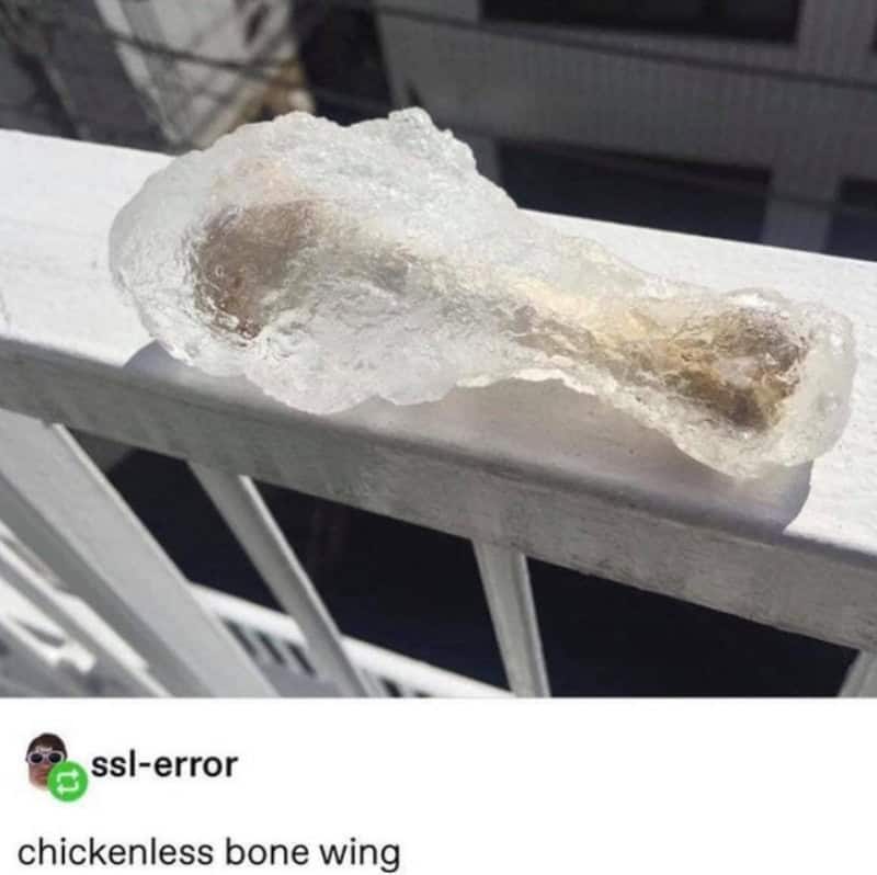 Ice chicken wing bone on a balcony railing with a caption 'chickenless bone wing'.