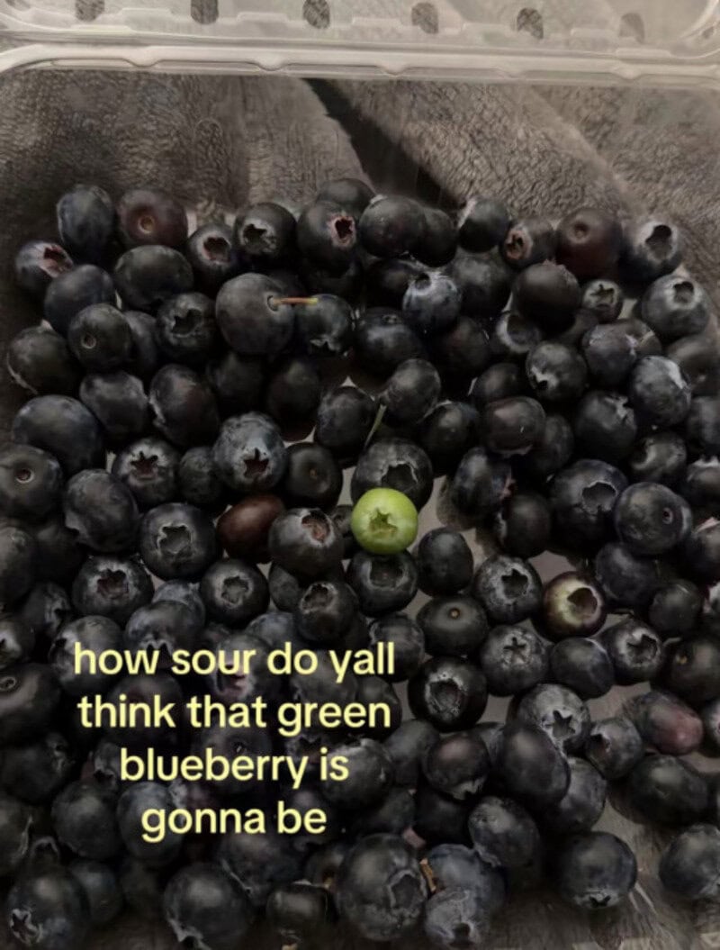 Green blueberry among many sour black blueberries with text overlay.
