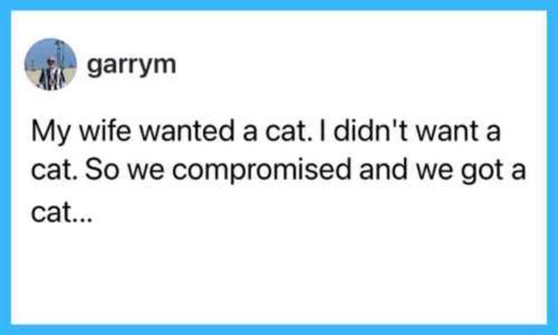My wife wanted a cat. I didn't want a cat. So we compromised and we got a cat...