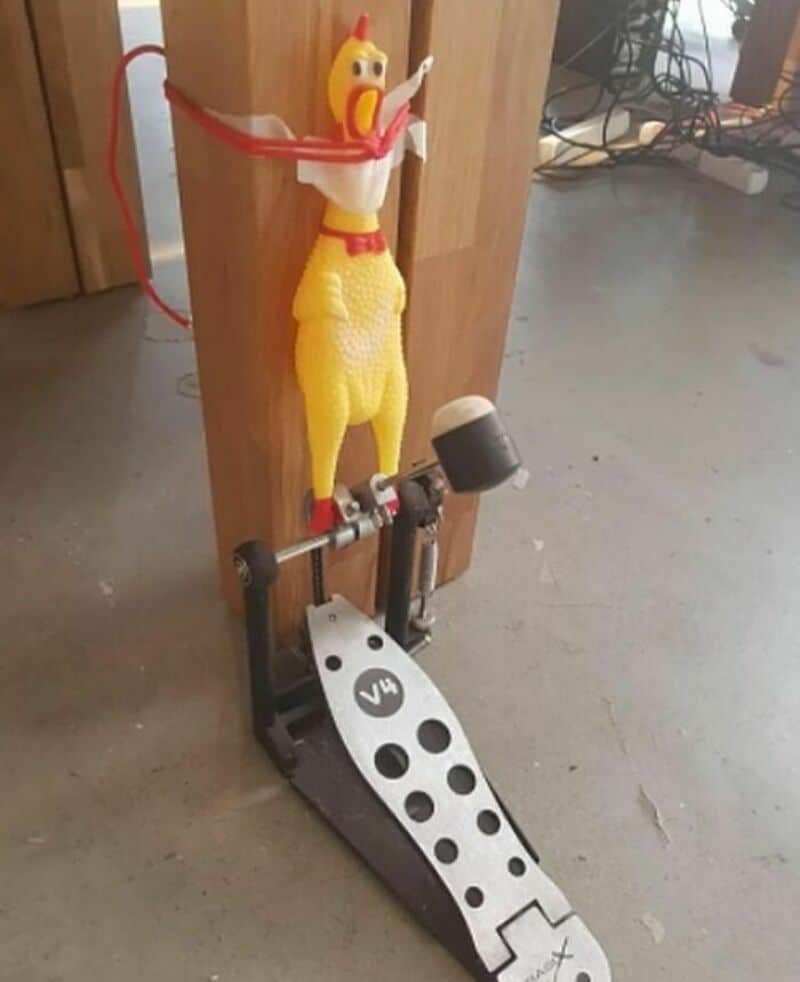 A rubber chicken toy attached to a wooden post with a pedal below.