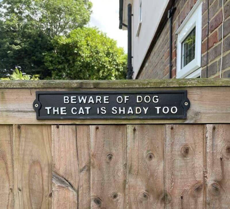 Beware of dog, the cat is shady too sign on wooden fence.