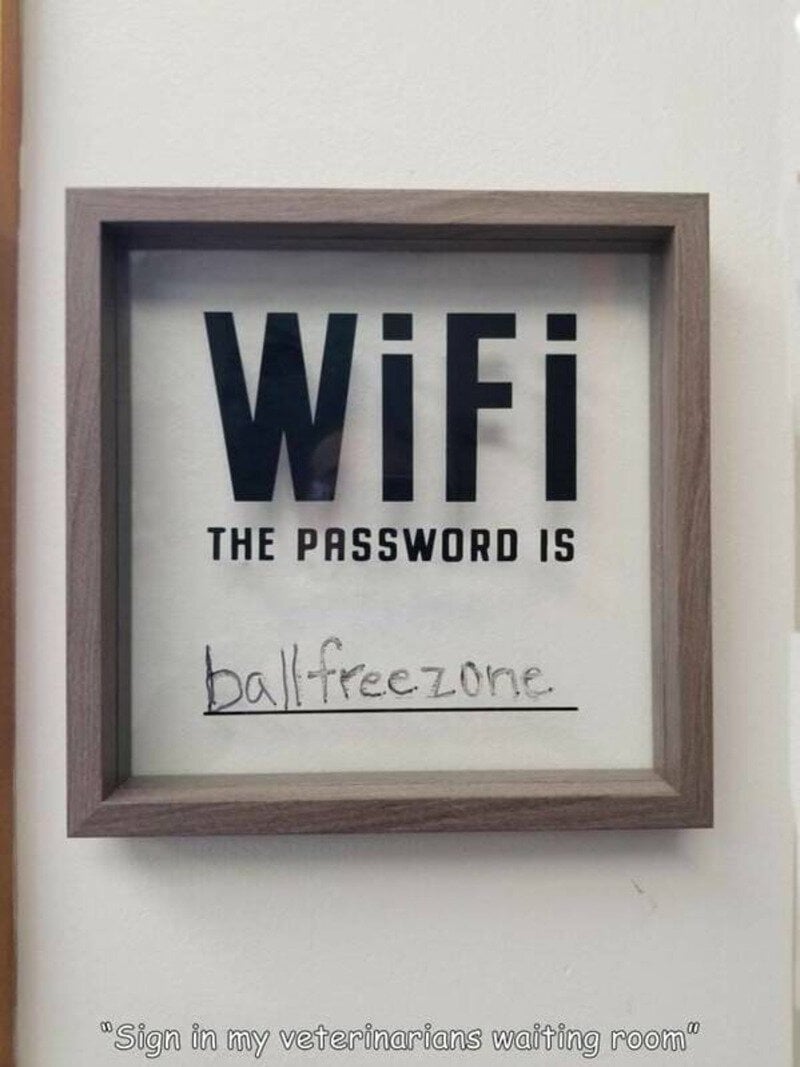 WiFi sign with the password 'ballfreezone' written below.