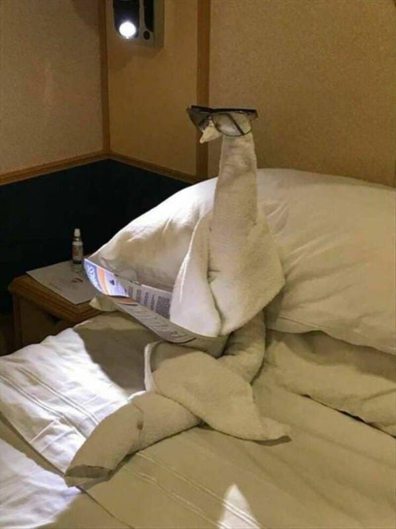 Swan-shaped towel with glasses reading a newspaper on a bed.