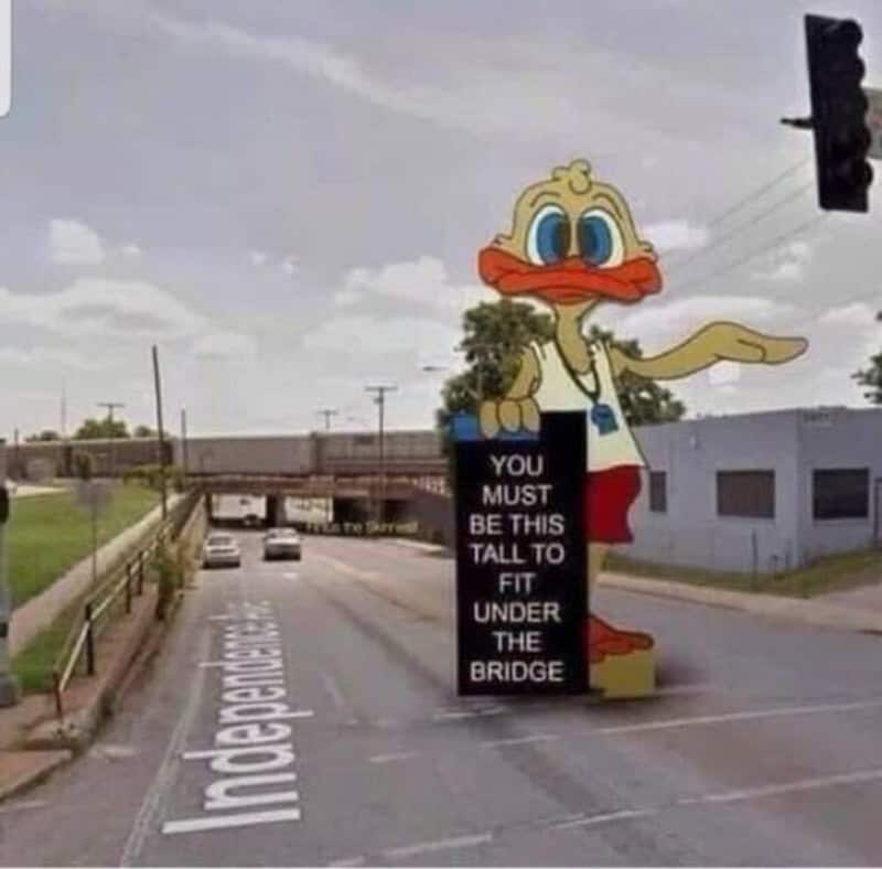 Large cartoon duck statue with a sign about fitting under a bridge.