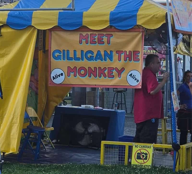 Meet Gilligan the Monkey sign at a carnival booth with a person in a red shirt nearby.
